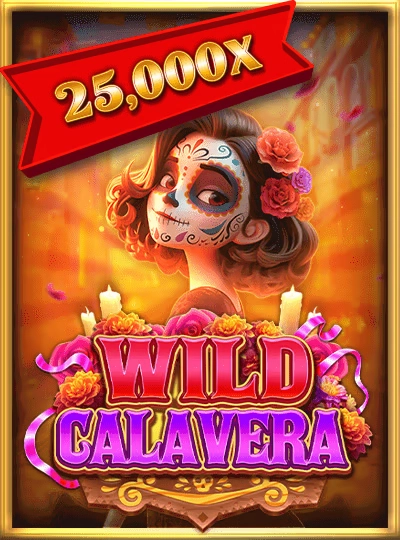 Live casino game show cover